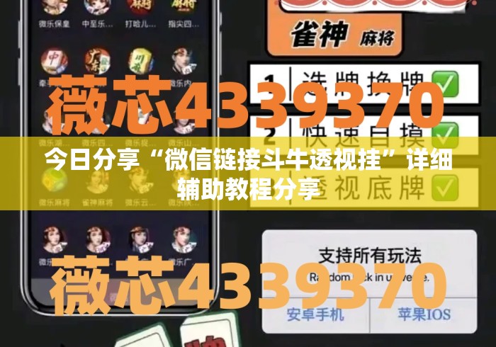 今日分享“微信链接斗牛透视挂”详细辅助教程分享