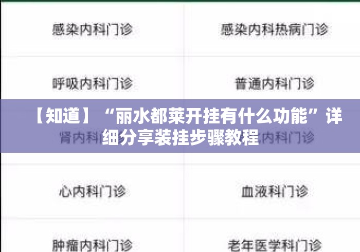 【知道】“丽水都莱开挂有什么功能”详细分享装挂步骤教程