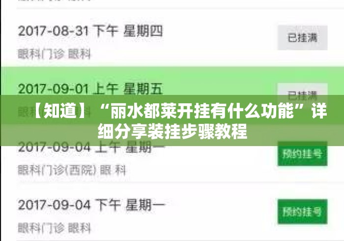 【知道】“丽水都莱开挂有什么功能”详细分享装挂步骤教程