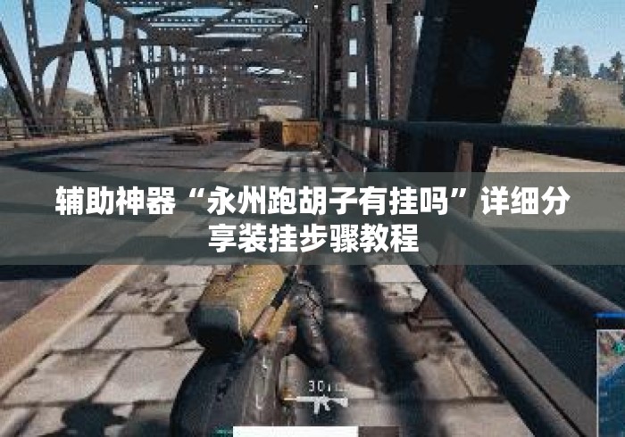 辅助神器“永州跑胡子有挂吗	”详细分享装挂步骤教程