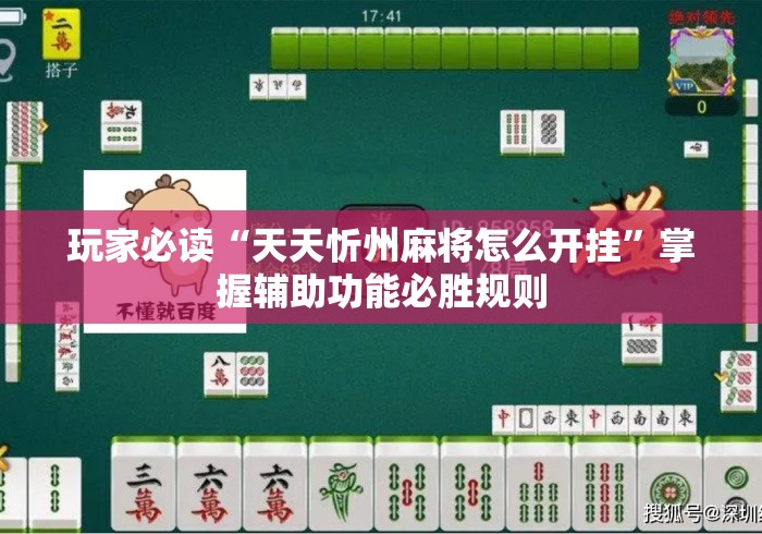玩家必读“天天忻州麻将怎么开挂”掌握辅助功能必胜规则
