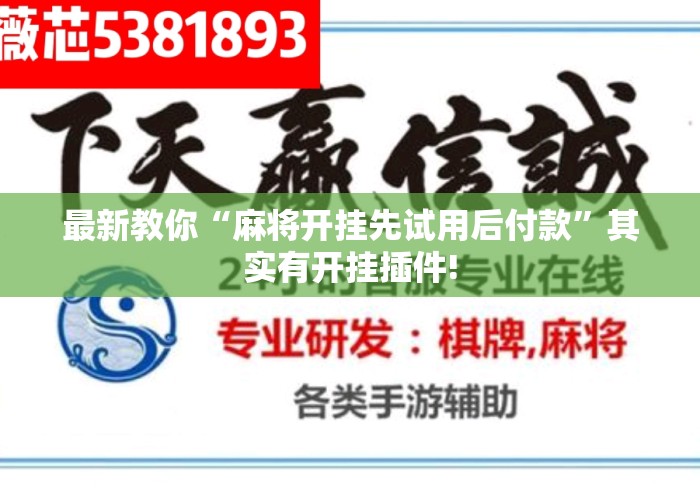 最新教你“麻将开挂先试用后付款”其实有开挂插件!