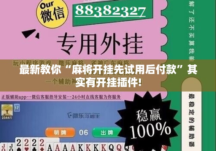 最新教你“麻将开挂先试用后付款”其实有开挂插件!