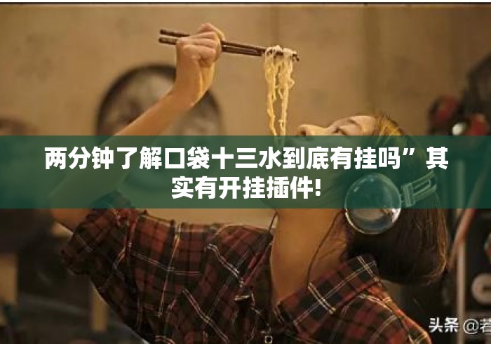 两分钟了解口袋十三水到底有挂吗”其实有开挂插件!