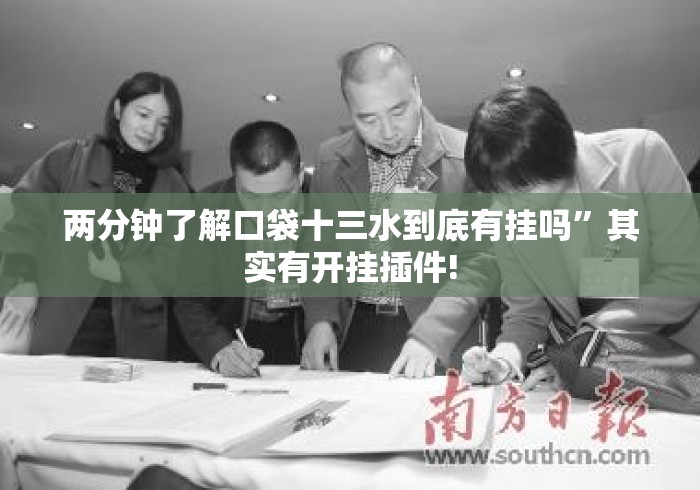 两分钟了解口袋十三水到底有挂吗	”其实有开挂插件!