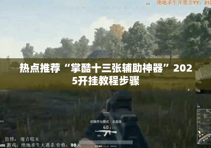 热点推荐“掌酷十三张辅助神器”2025开挂教程步骤
