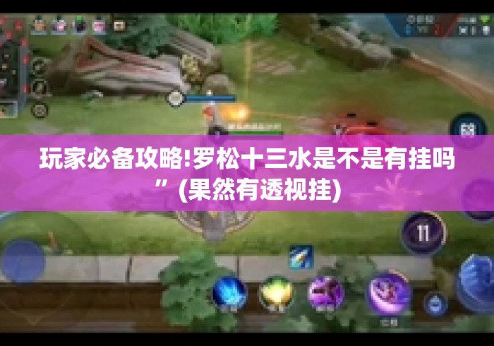 玩家必备攻略!罗松十三水是不是有挂吗”(果然有透视挂)