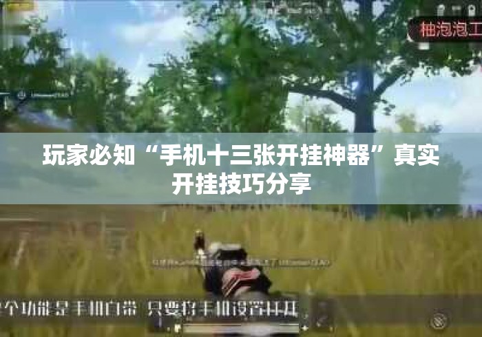 玩家必知“手机十三张开挂神器”真实开挂技巧分享