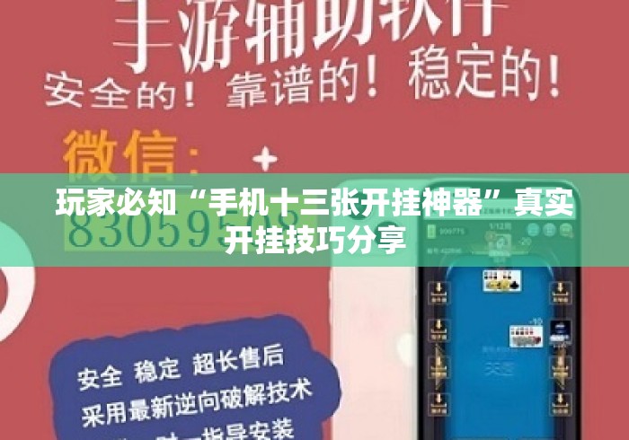 玩家必知“手机十三张开挂神器	”真实开挂技巧分享