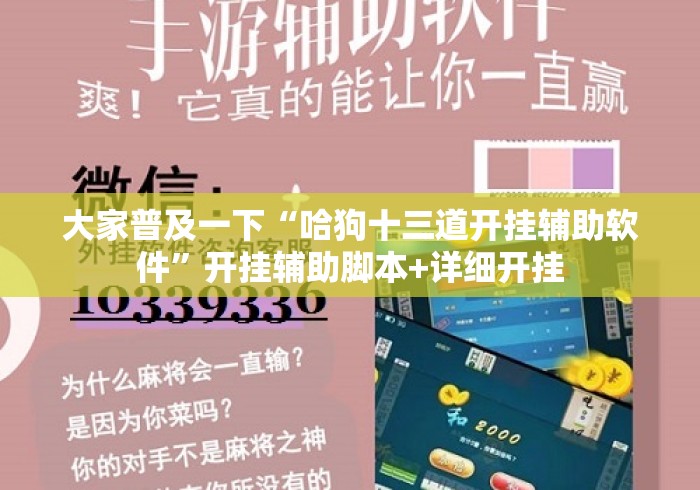 大家普及一下“哈狗十三道开挂辅助软件	”开挂辅助脚本+详细开挂