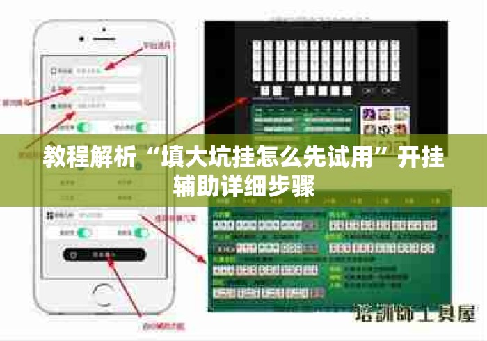 教程解析“填大坑挂怎么先试用”开挂辅助详细步骤