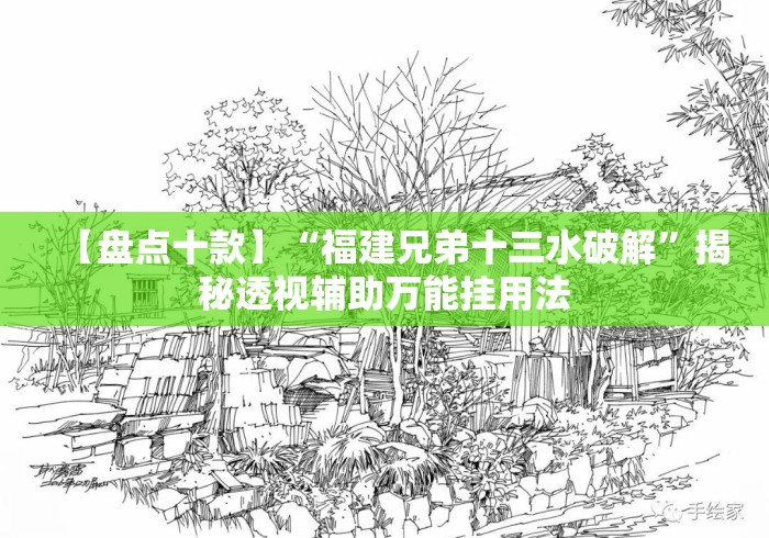 【盘点十款】“福建兄弟十三水破解”揭秘透视辅助万能挂用法