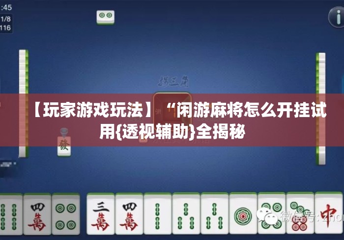 【玩家游戏玩法】“闲游麻将怎么开挂试用{透视辅助}全揭秘