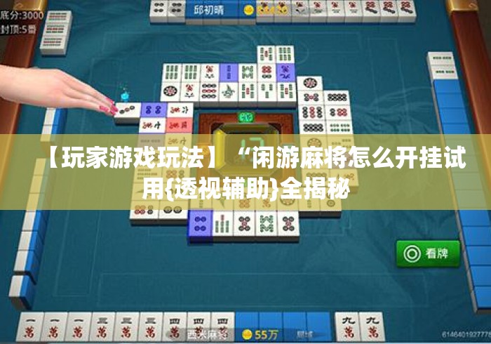 【玩家游戏玩法】“闲游麻将怎么开挂试用{透视辅助}全揭秘