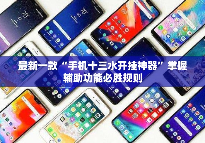 最新一款“手机十三水开挂神器	”掌握辅助功能必胜规则