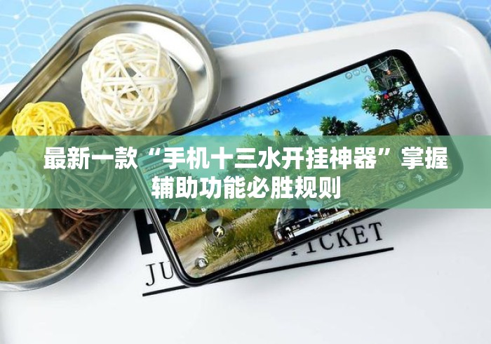 最新一款“手机十三水开挂神器”掌握辅助功能必胜规则