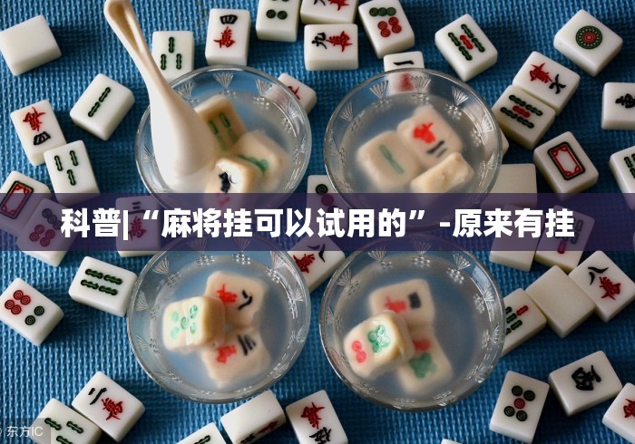 科普|“麻将挂可以试用的”-原来有挂