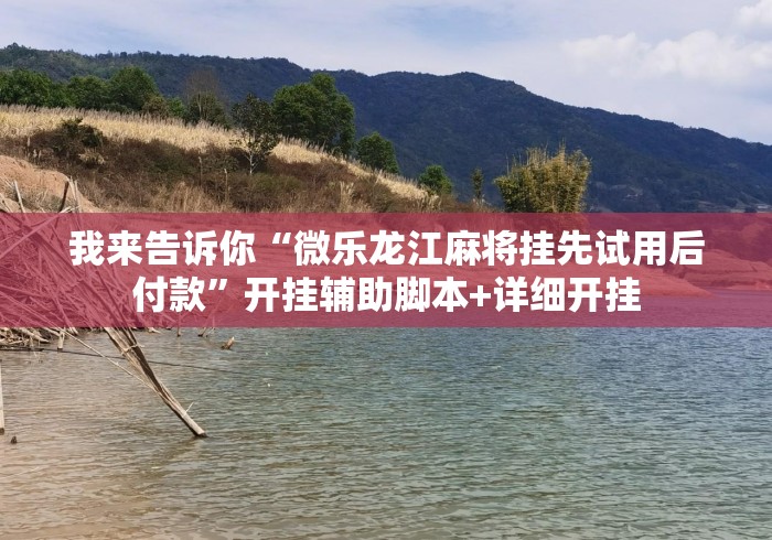 我来告诉你“微乐龙江麻将挂先试用后付款”开挂辅助脚本+详细开挂
