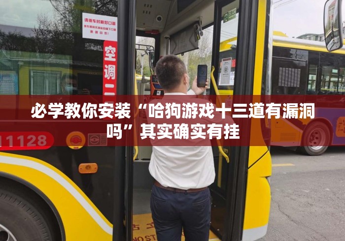 必学教你安装“哈狗游戏十三道有漏洞吗”其实确实有挂