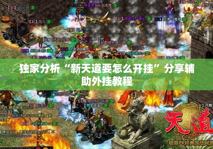 独家分析“新天道要怎么开挂”分享辅助外挂教程