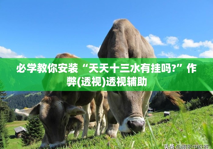 必学教你安装“天天十三水有挂吗?	”作弊(透视)透视辅助