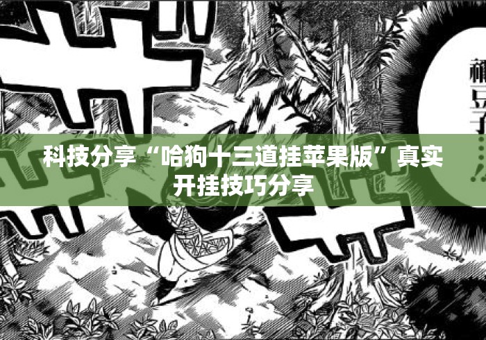 科技分享“哈狗十三道挂苹果版	”真实开挂技巧分享