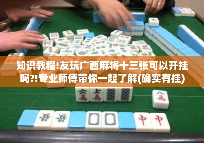 知识教程!友玩广西麻将十三张可以开挂吗?!专业师傅带你一起了解(确实有挂) 知识教程!友玩广西麻将十三张可以开挂吗?!专业师傅带你一起了解(确实有挂)