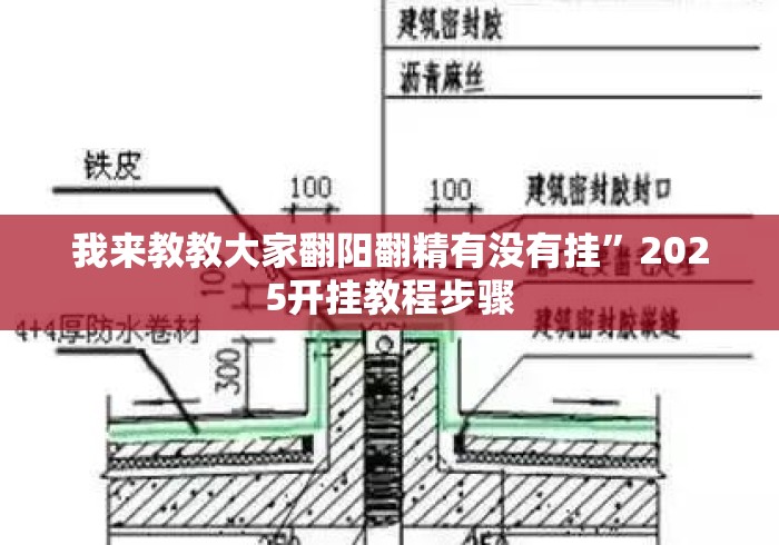 我来教教大家翻阳翻精有没有挂”2025开挂教程步骤