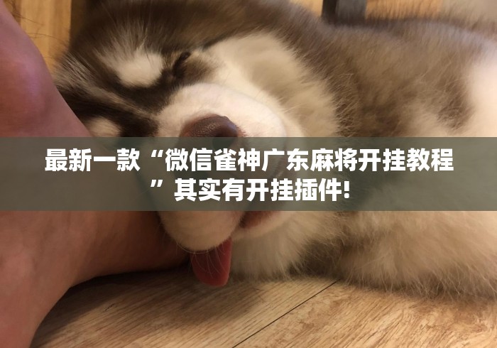 最新一款“微信雀神广东麻将开挂教程”其实有开挂插件!