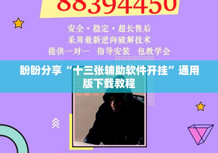 盼盼分享“十三张辅助软件开挂”通用版下载教程