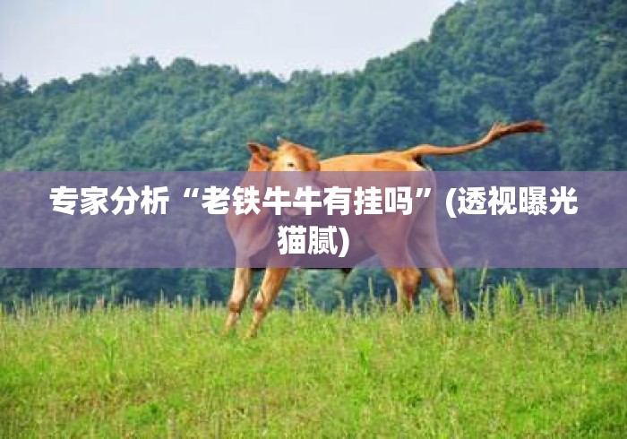 专家分析“老铁牛牛有挂吗	”(透视曝光猫腻)