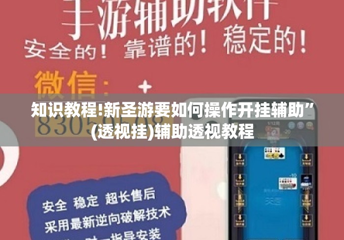知识教程!新圣游要如何操作开挂辅助”(透视挂)辅助透视教程