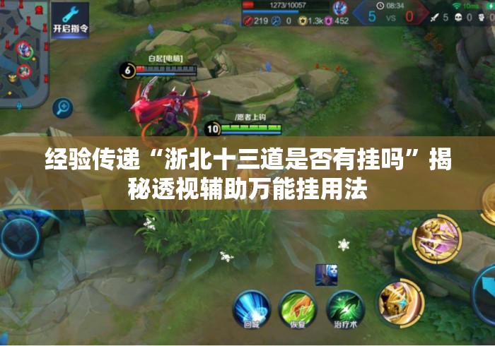 经验传递“浙北十三道是否有挂吗”揭秘透视辅助万能挂用法