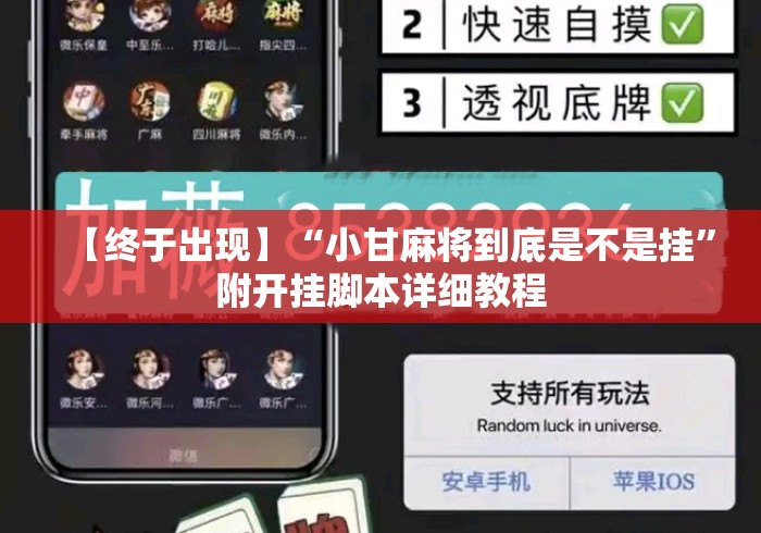 【终于出现】“小甘麻将到底是不是挂”附开挂脚本详细教程