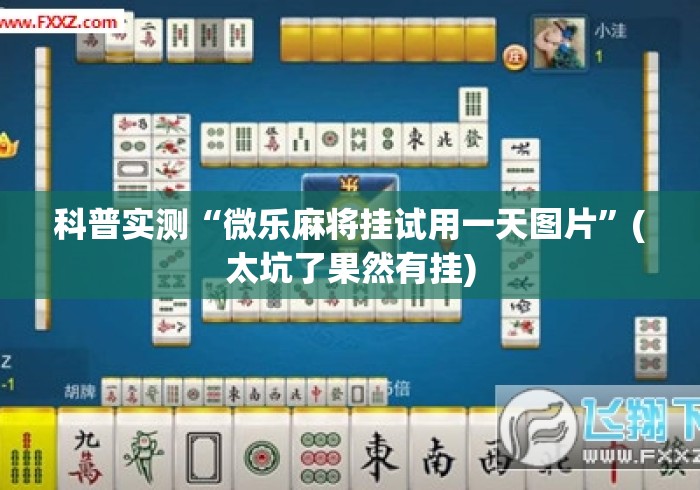 科普实测“微乐麻将挂试用一天图片	”(太坑了果然有挂)