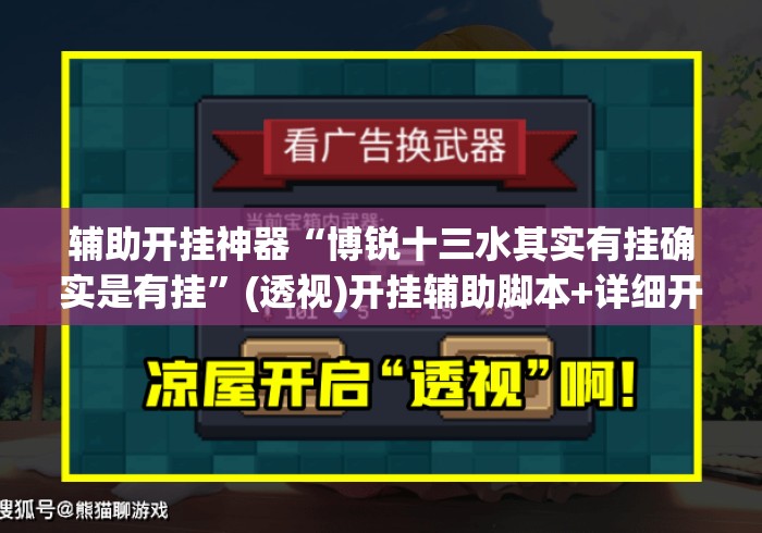 辅助开挂神器“博锐十三水其实有挂确实是有挂”(透视)开挂辅助脚本+详细开挂安装教程