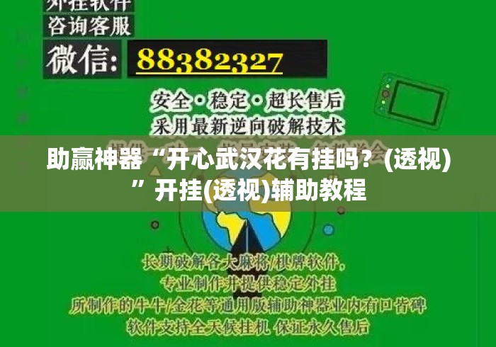 助赢神器“开心武汉花有挂吗？(透视)”开挂(透视)辅助教程