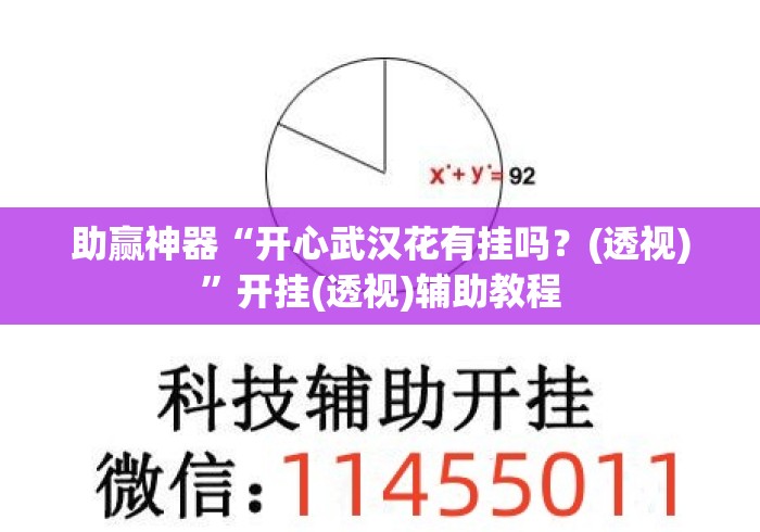 助赢神器“开心武汉花有挂吗？(透视)”开挂(透视)辅助教程