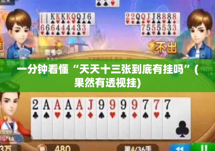 一分钟看懂“天天十三张到底有挂吗	”(果然有透视挂)