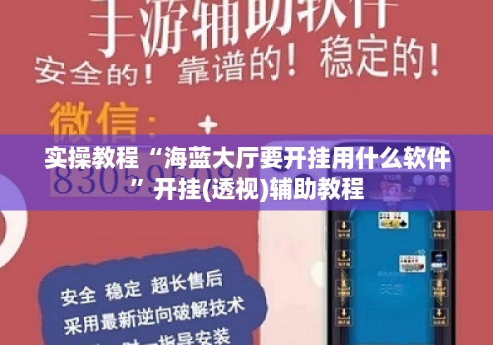 实操教程“海蓝大厅要开挂用什么软件	”开挂(透视)辅助教程