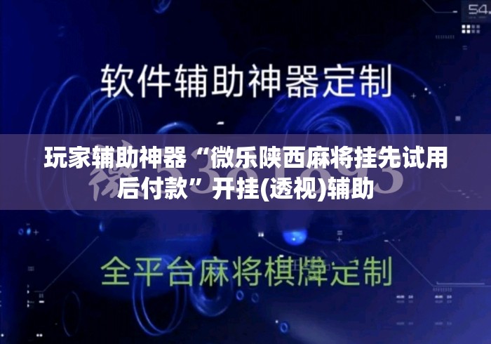 玩家辅助神器“微乐陕西麻将挂先试用后付款	”开挂(透视)辅助