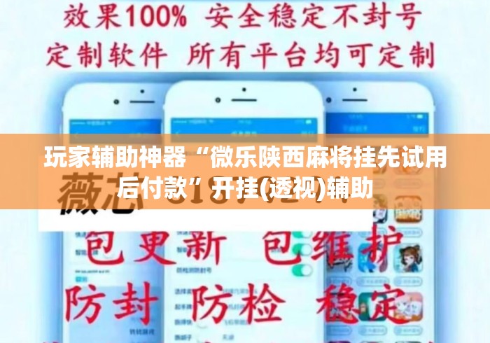 玩家辅助神器“微乐陕西麻将挂先试用后付款”开挂(透视)辅助