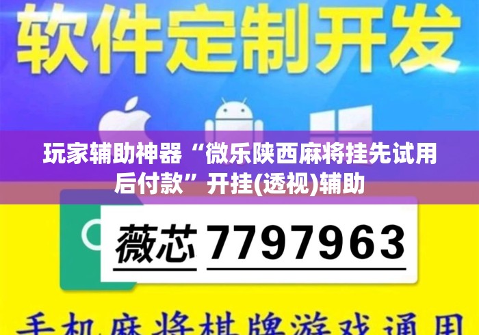 玩家辅助神器“微乐陕西麻将挂先试用后付款”开挂(透视)辅助