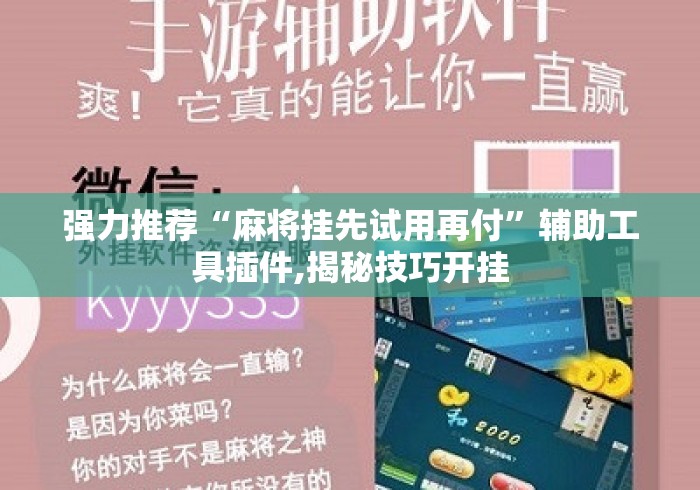强力推荐“麻将挂先试用再付	”辅助工具插件,揭秘技巧开挂