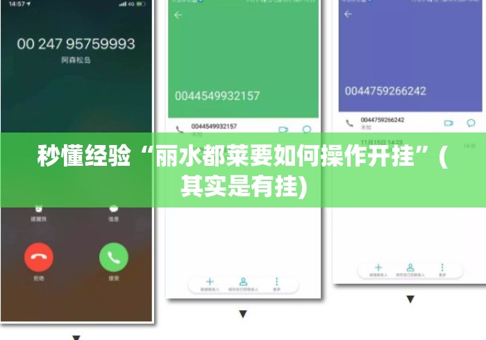 秒懂经验“丽水都莱要如何操作开挂	”(其实是有挂)