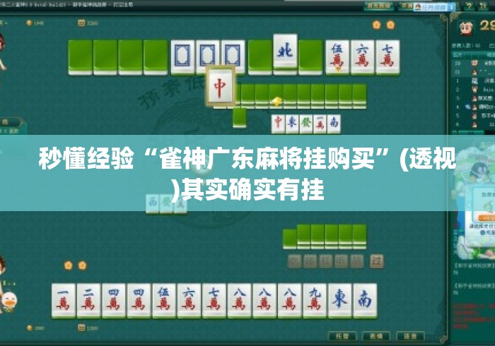 秒懂经验“雀神广东麻将挂购买”(透视)其实确实有挂