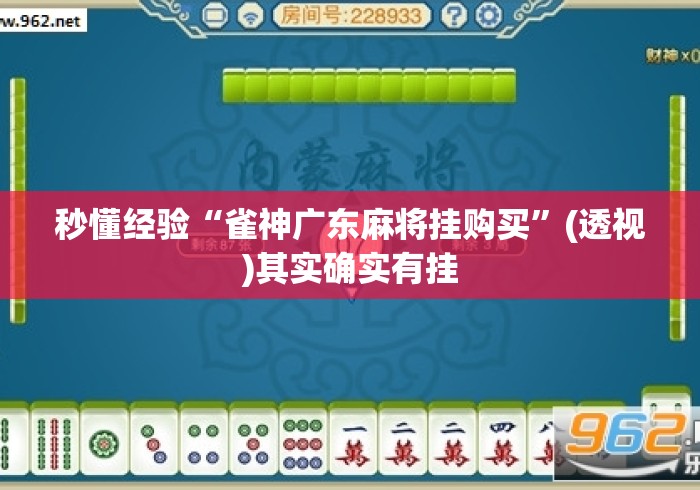 秒懂经验“雀神广东麻将挂购买”(透视)其实确实有挂