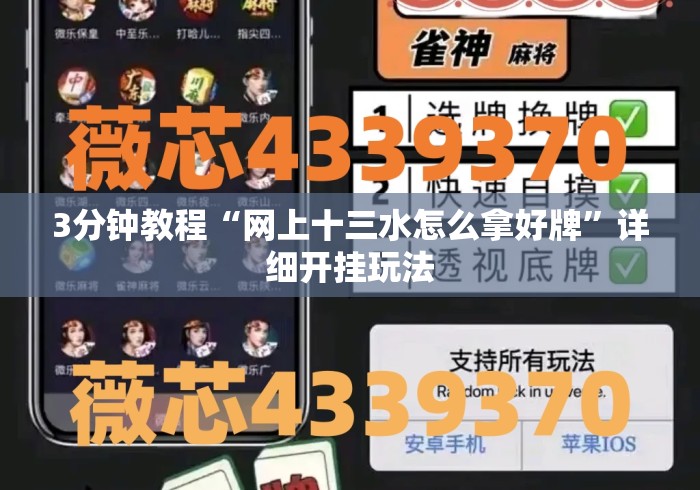3分钟教程“网上十三水怎么拿好牌”详细开挂玩法
