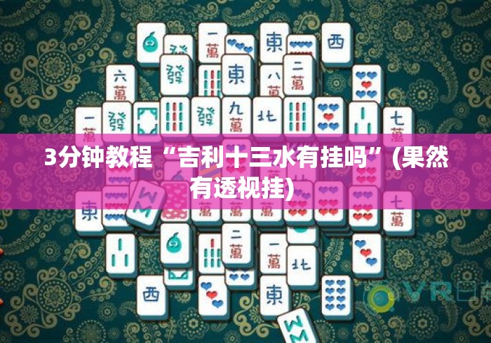 3分钟教程“吉利十三水有挂吗”(果然有透视挂) 