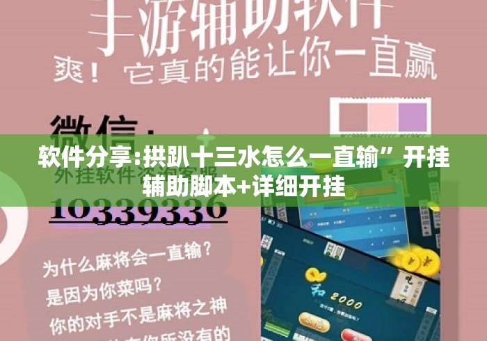 软件分享:拱趴十三水怎么一直输”开挂辅助脚本+详细开挂